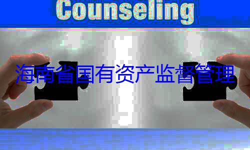 委副书记王海南省国有资产监督管有福接受审理委员会党查调查